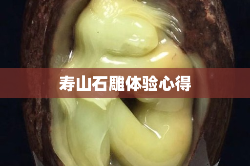 壽山石雕體驗心得