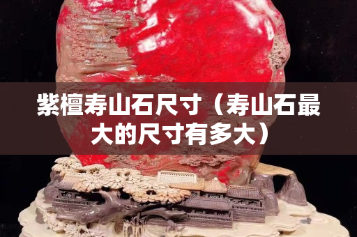 紫檀壽山石尺寸（壽山石最大的尺寸有多大）