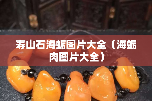 壽山石海蠣圖片大全（海蠣肉圖片大全）