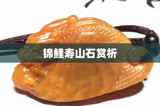 錦鯉壽山石賞析