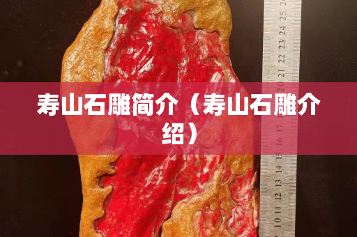 壽山石雕簡介（壽山石雕介紹）