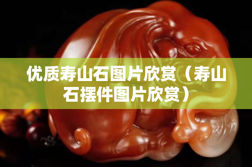 優質壽山石圖片欣賞（壽山石擺件圖片欣賞）