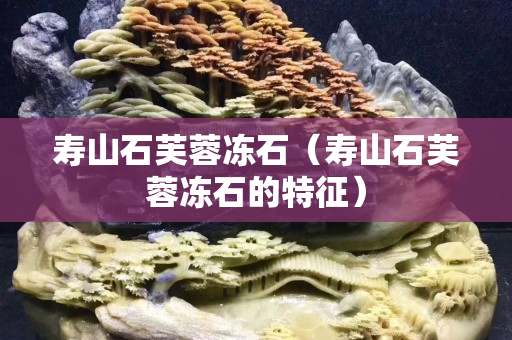 壽山石芙蓉凍石（壽山石芙蓉凍石的特征）