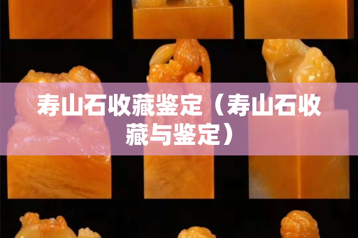 壽山石收藏鑒定（壽山石收藏與鑒定）
