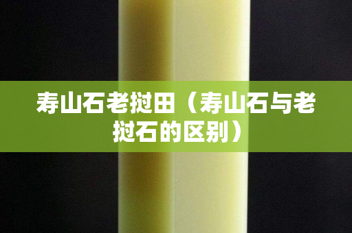 壽山石老撾田（壽山石與老撾石的區別）