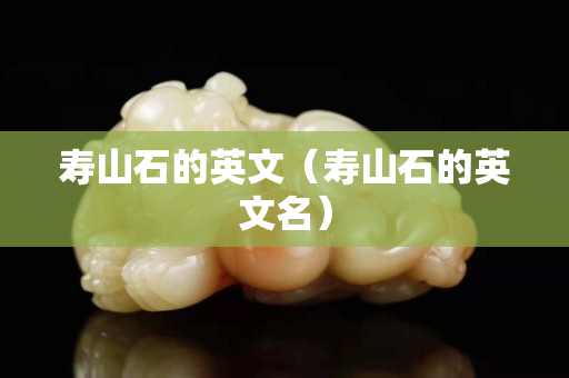 壽山石的英文（壽山石的英文名）
