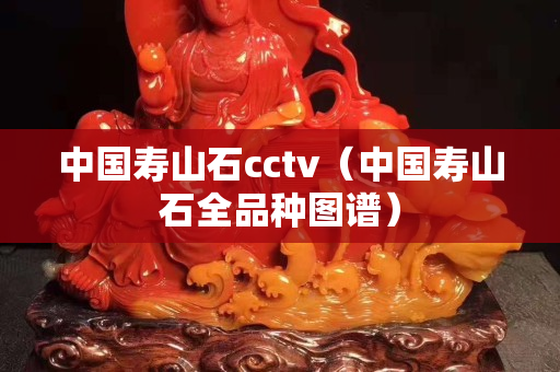 中國壽山石cctv（中國壽山石全品種圖譜）