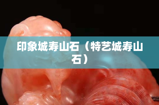 印象城壽山石（特藝城壽山石）