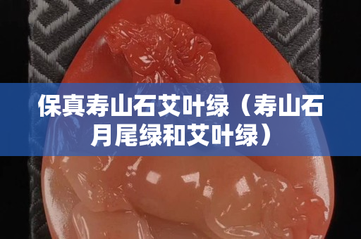 保真壽山石艾葉綠（壽山石月尾綠和艾葉綠）