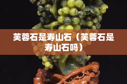 芙蓉石是壽山石（芙蓉石是壽山石嗎）