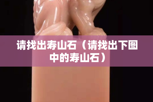 請找出壽山石（請找出下圖中的壽山石）