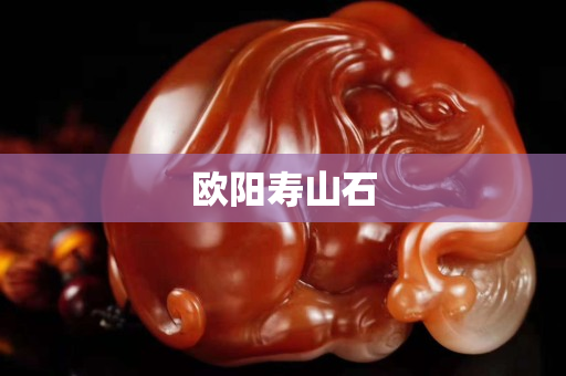 歐陽壽山石