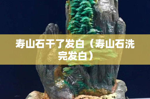 壽山石干了發白（壽山石洗完發白）