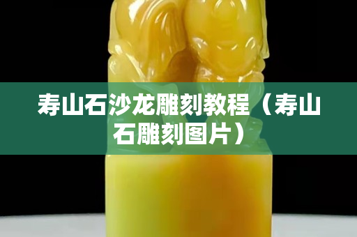 壽山石沙龍雕刻教程（壽山石雕刻圖片）