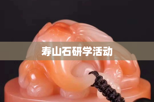 壽山石研學活動