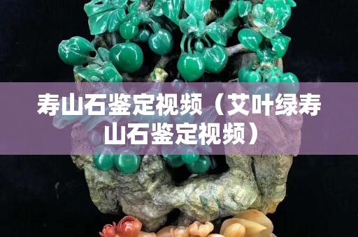 壽山石鑒定視頻（艾葉綠壽山石鑒定視頻）
