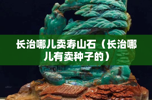 長治哪兒賣壽山石（長治哪兒有賣種子的）