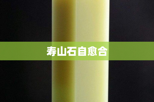 壽山石自愈合