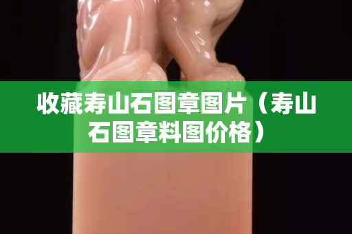 收藏壽山石圖章圖片（壽山石圖章料圖價格）