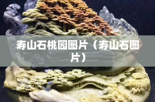 壽山石桃園圖片（壽山石圖片）