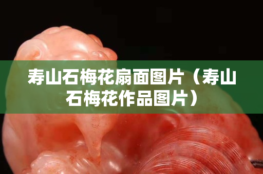 壽山石梅花扇面圖片（壽山石梅花作品圖片）