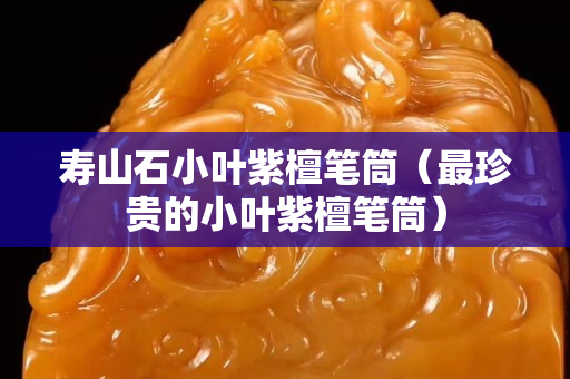 壽山石小葉紫檀筆筒（最珍貴的小葉紫檀筆筒）
