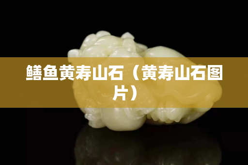 鱔魚黃壽山石（黃壽山石圖片）