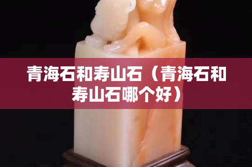 青海石和壽山石（青海石和壽山石哪個好）