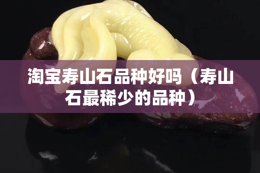 淘寶壽山石品種好嗎（壽山石最稀少的品種）