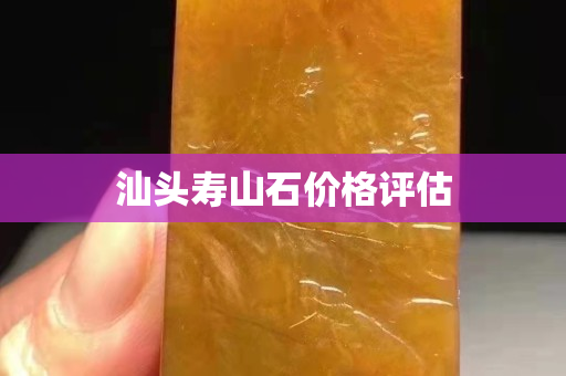 汕頭壽山石價格評估