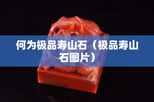 何為極品壽山石（極品壽山石圖片）