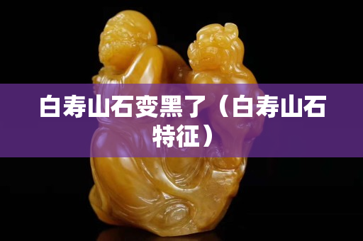 白壽山石變黑了（白壽山石特征）
