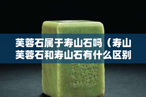 芙蓉石屬于壽山石嗎（壽山芙蓉石和壽山石有什么區別）