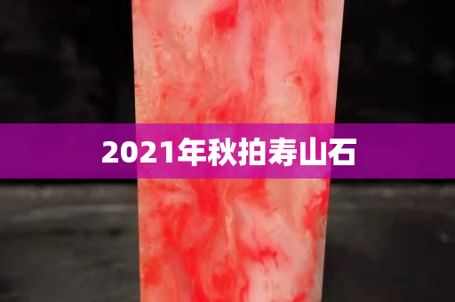 2021年秋拍壽山石