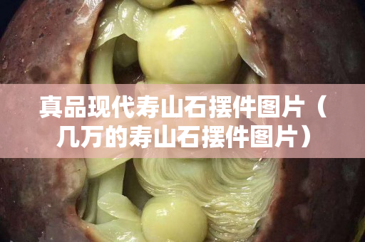 真品現(xiàn)代壽山石擺件圖片（幾萬的壽山石擺件圖片）