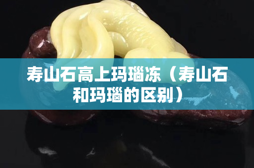 壽山石高上瑪瑙凍（壽山石和瑪瑙的區(qū)別）