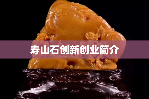 壽山石創(chuàng)新創(chuàng)業(yè)簡介