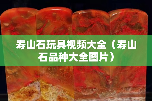 壽山石玩具視頻大全（壽山石品種大全圖片）