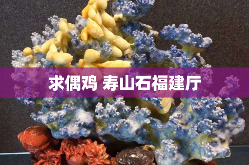 求偶雞 壽山石福建廳