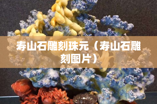 壽山石雕刻珠元（壽山石雕刻圖片）