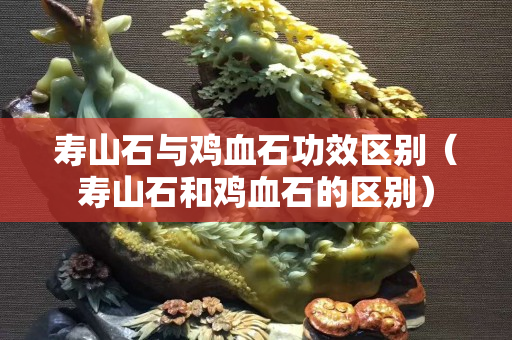 壽山石與雞血石功效區(qū)別（壽山石和雞血石的區(qū)別）