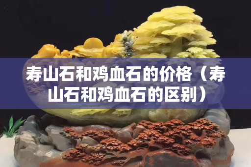 壽山石和雞血石的價格（壽山石和雞血石的區(qū)別）