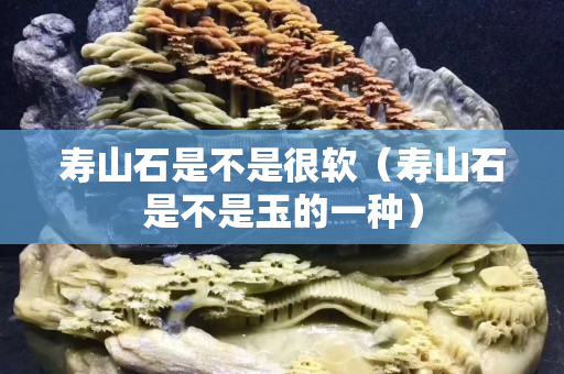 壽山石是不是很軟（壽山石是不是玉的一種）