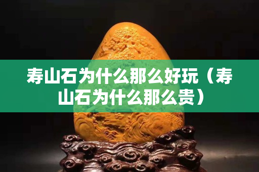 壽山石為什么那么好玩（壽山石為什么那么貴）
