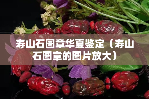 壽山石圖章華夏鑒定（壽山石圖章的圖片放大）
