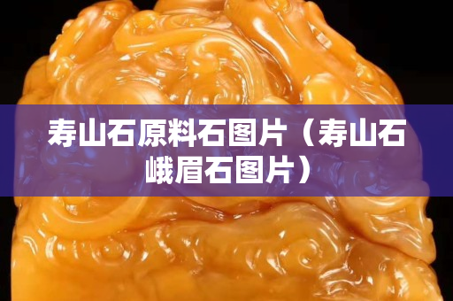 壽山石原料石圖片（壽山石峨眉石圖片）