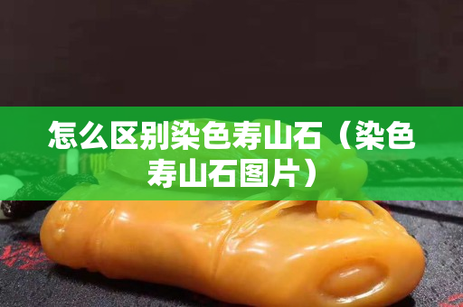 怎么區別染色壽山石（染色壽山石圖片）