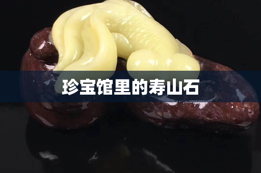 珍寶館里的壽山石