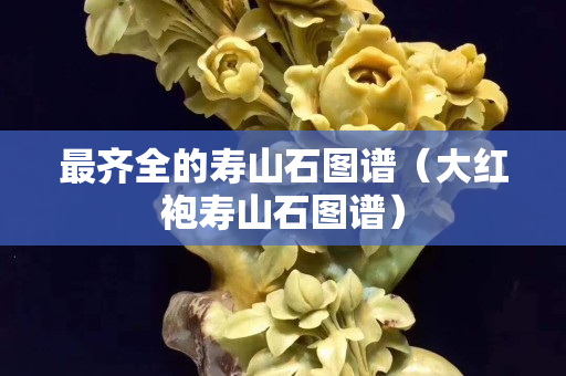最齊全的壽山石圖譜（大紅袍壽山石圖譜）
