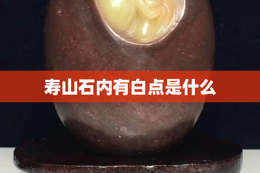 壽山石內有白點是什么